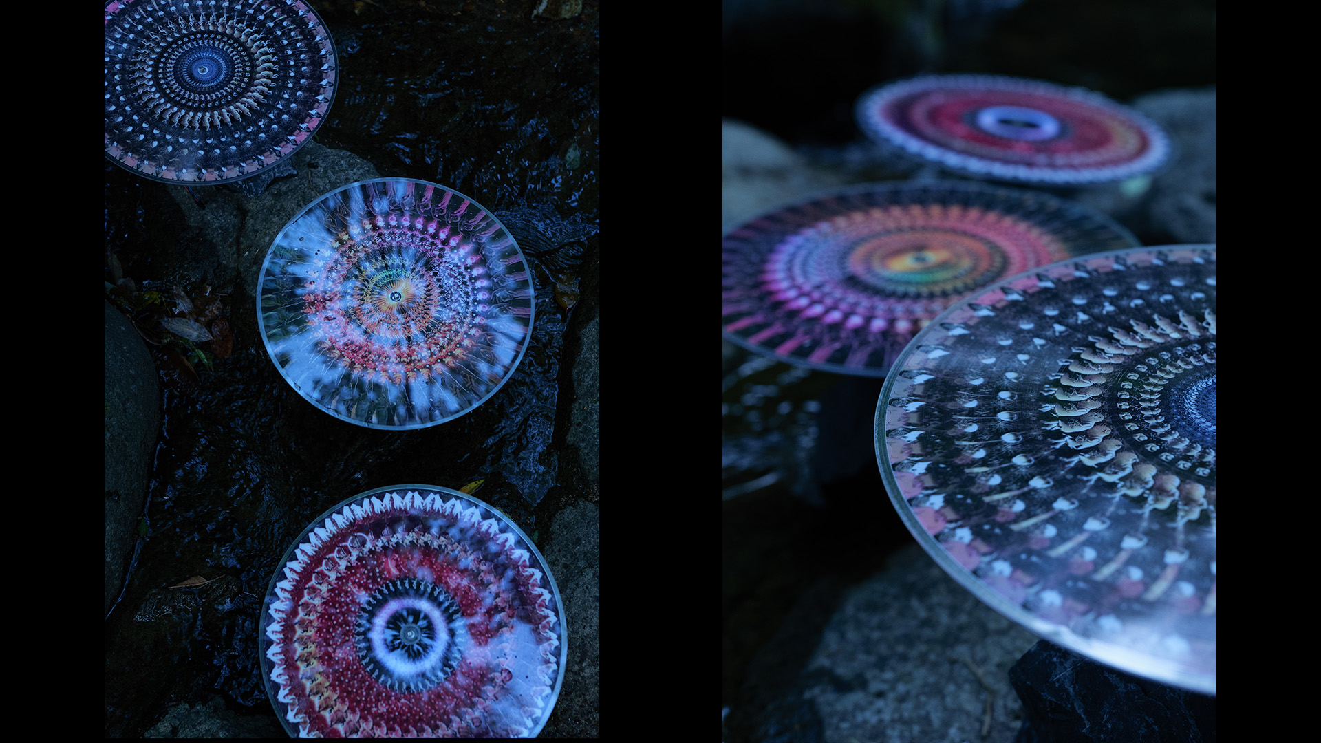 Phenakistoscope